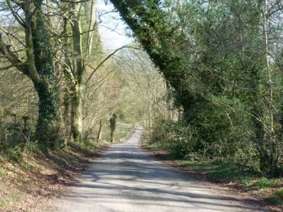 chute forest lodge lane