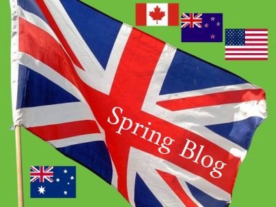 Spring Blog