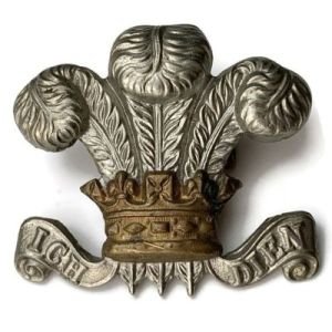 Military Royal Wilts Yeo Badge